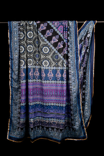 FBDUP-31 Chinnon Dupatta with Digital Print, Stone & Mirror Work, and Lace Border